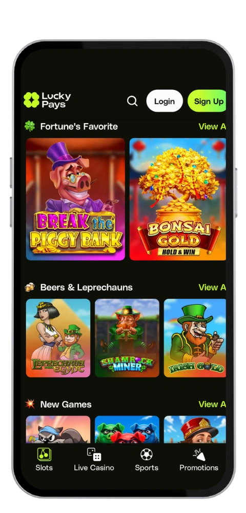 LuckyPays Casino s'identifier